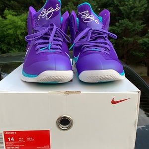 Lebron 9 Summit Lakes